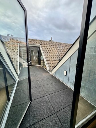 IMG_1267 2 Medium.jpeg